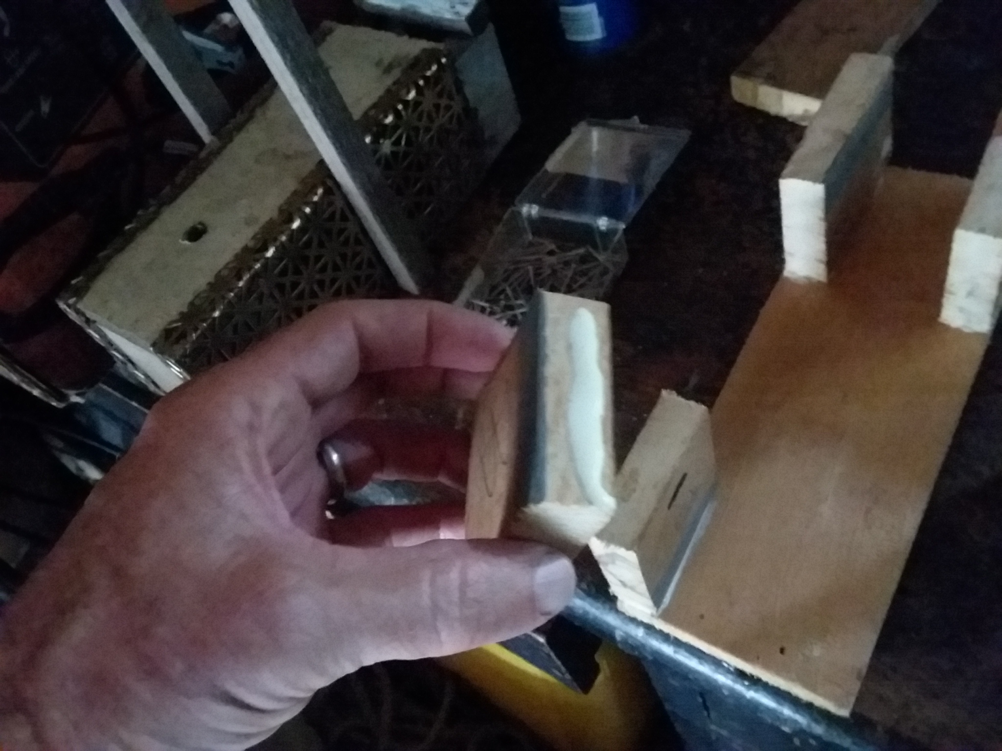 20190624_113138.jpg