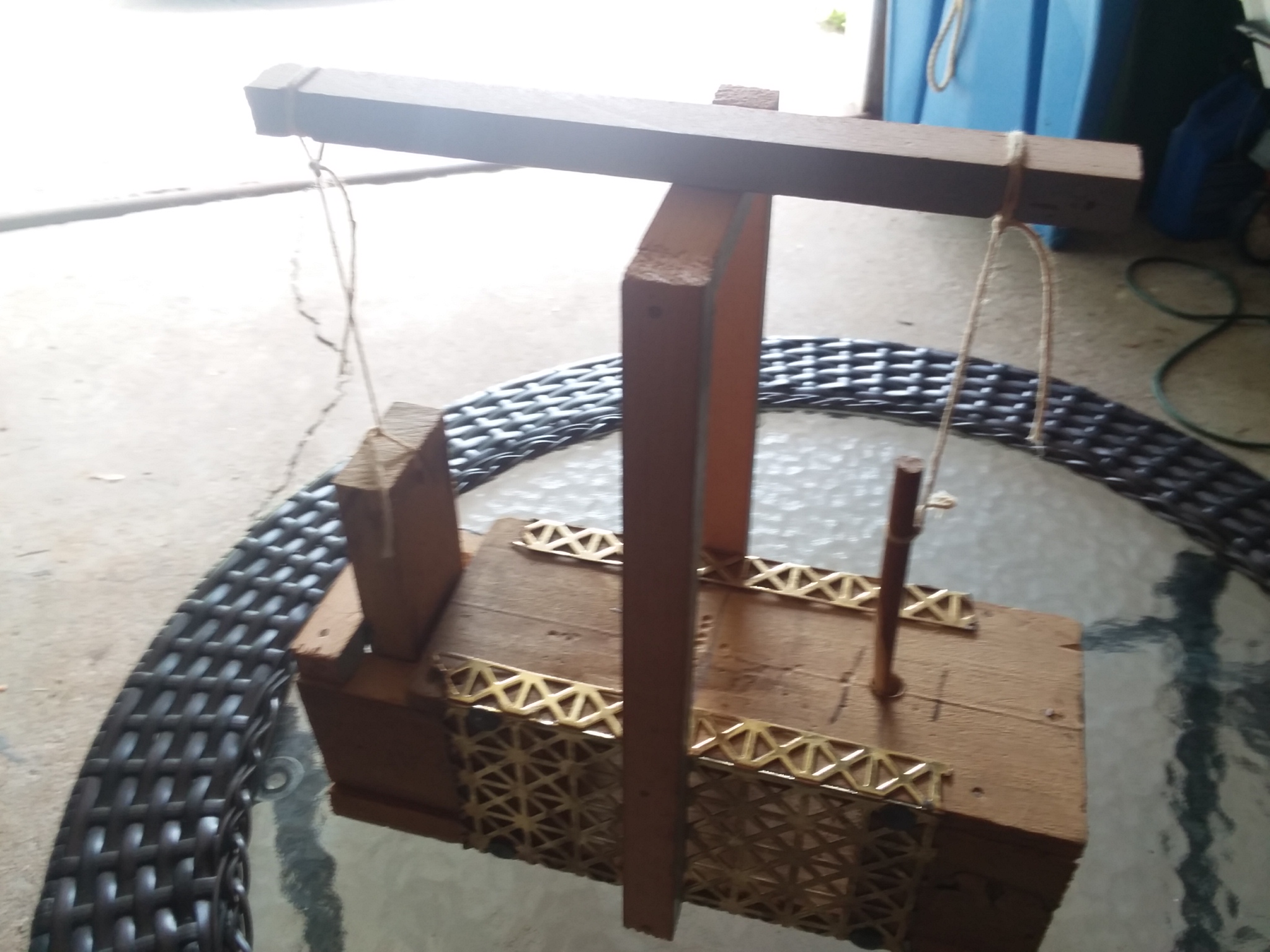20190627_122443.jpg