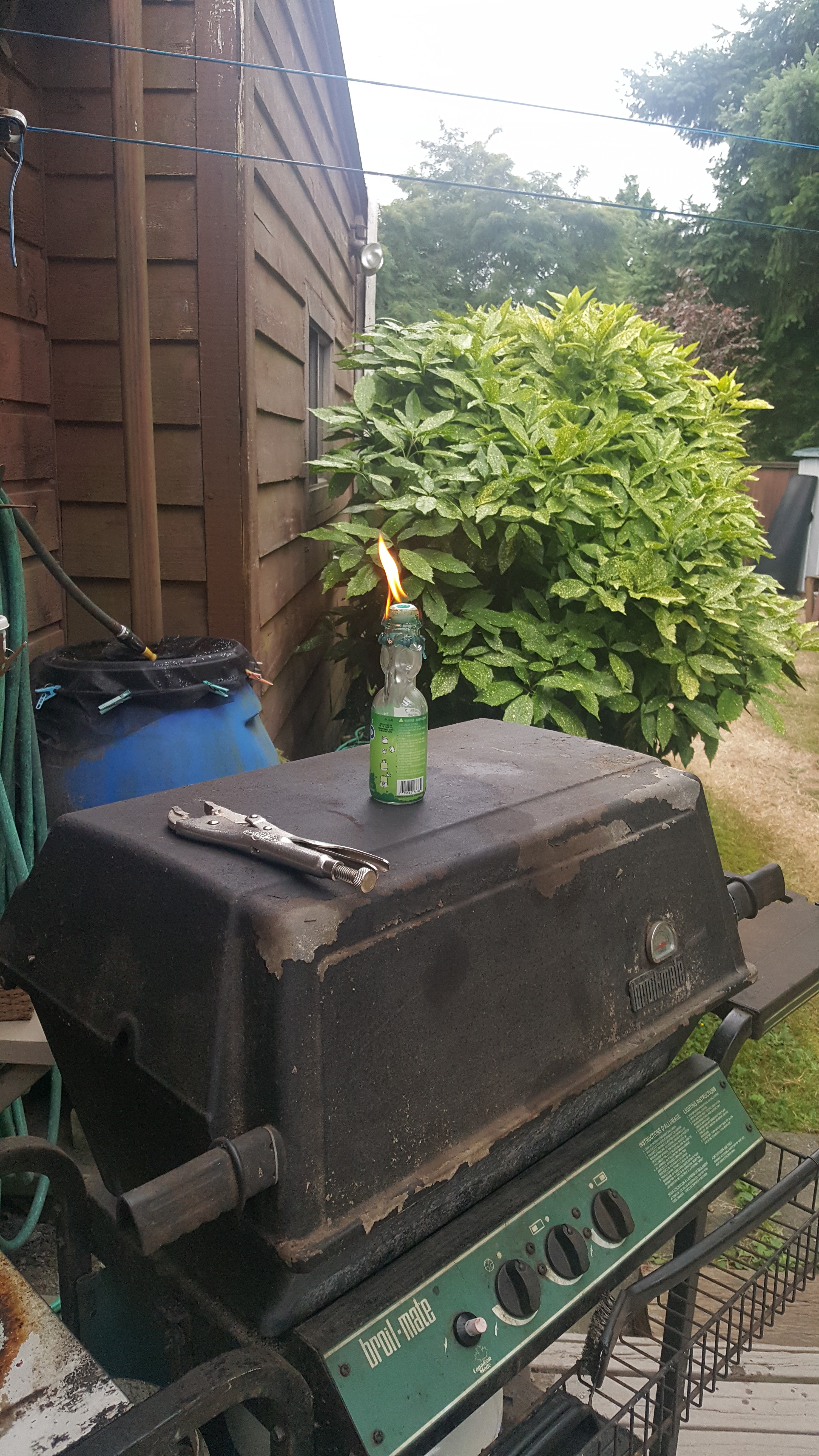 20190811_174654.jpg