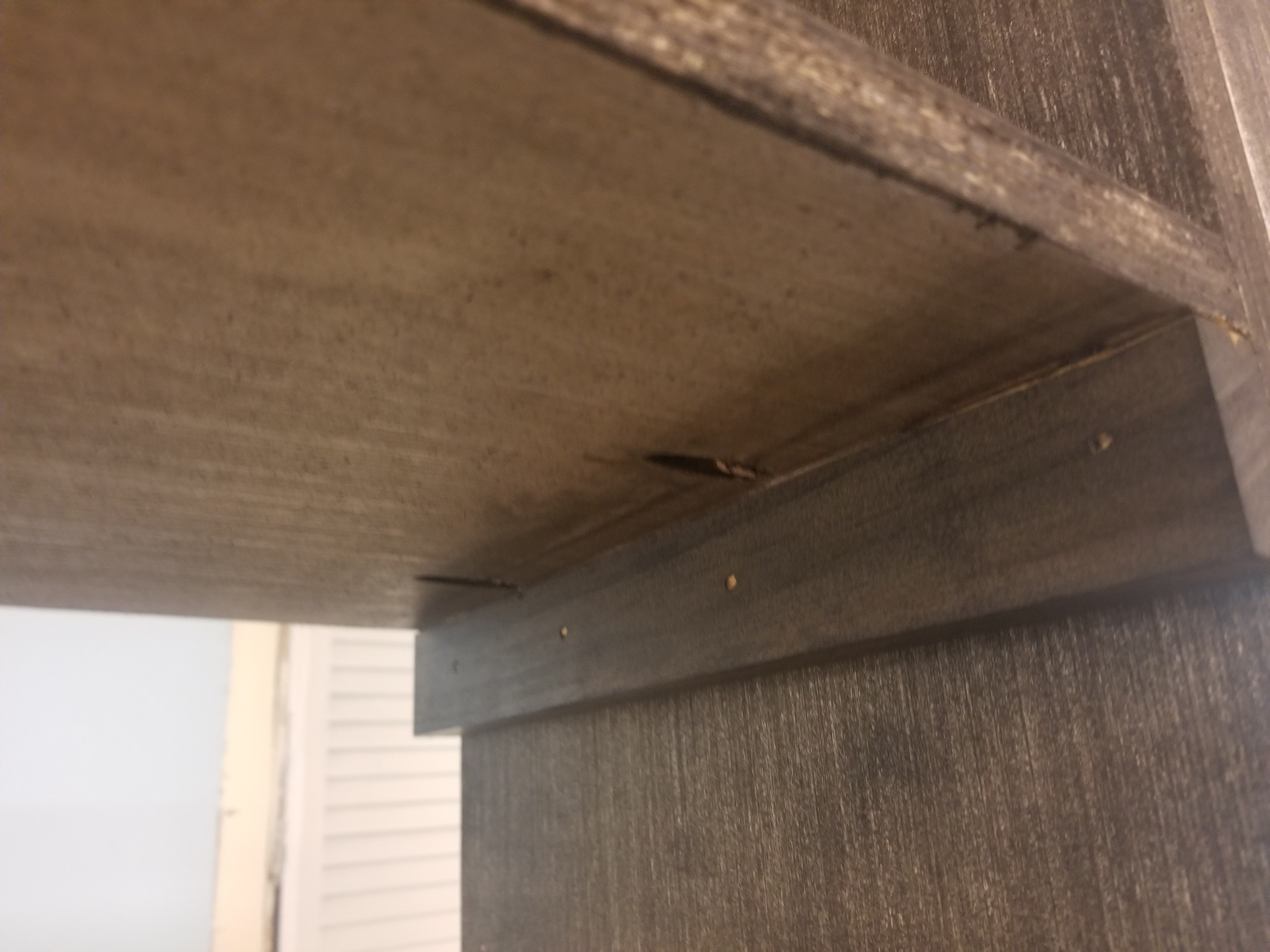 20190909_112928_resized.jpg