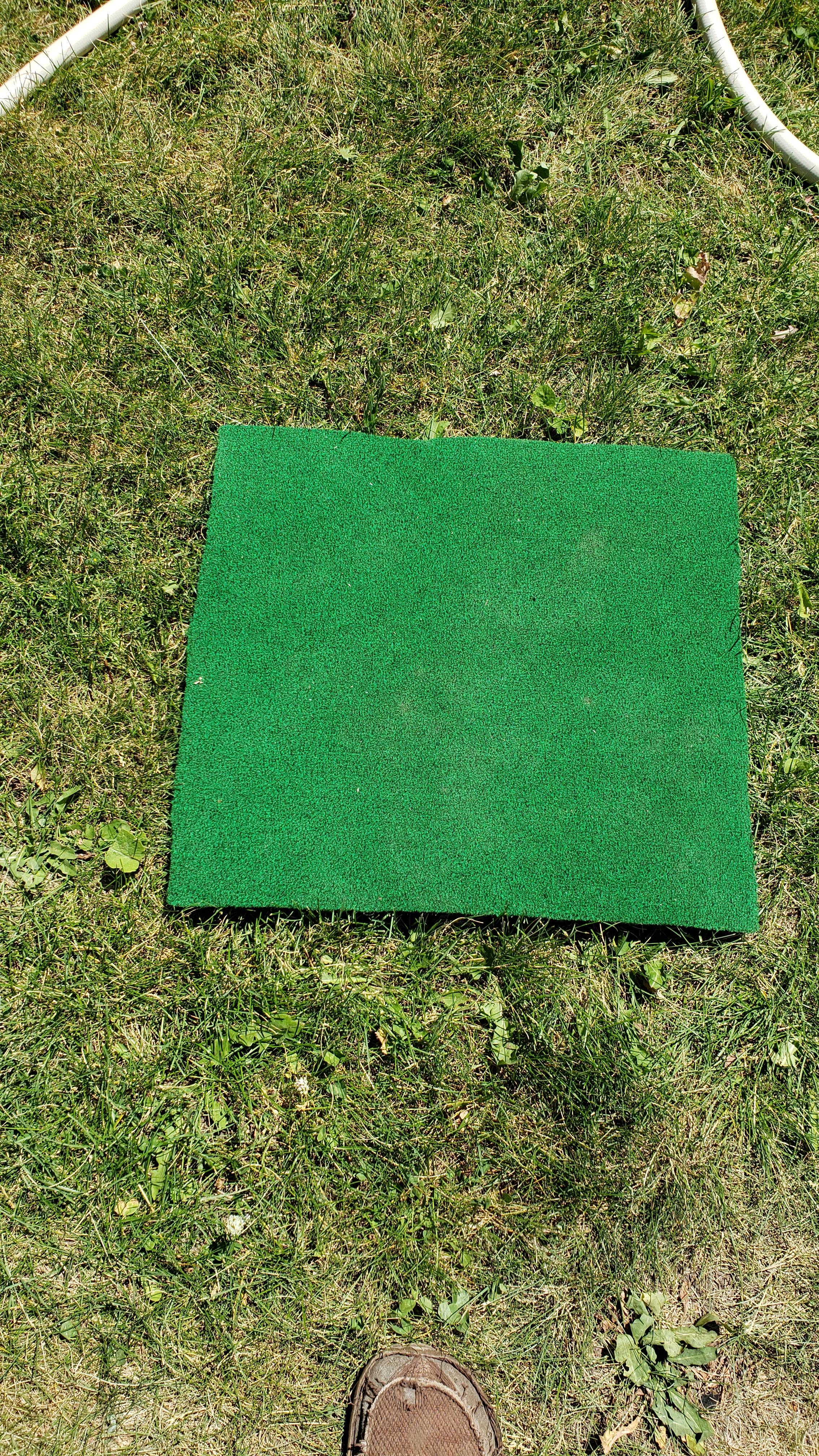 20200718_145503.jpg