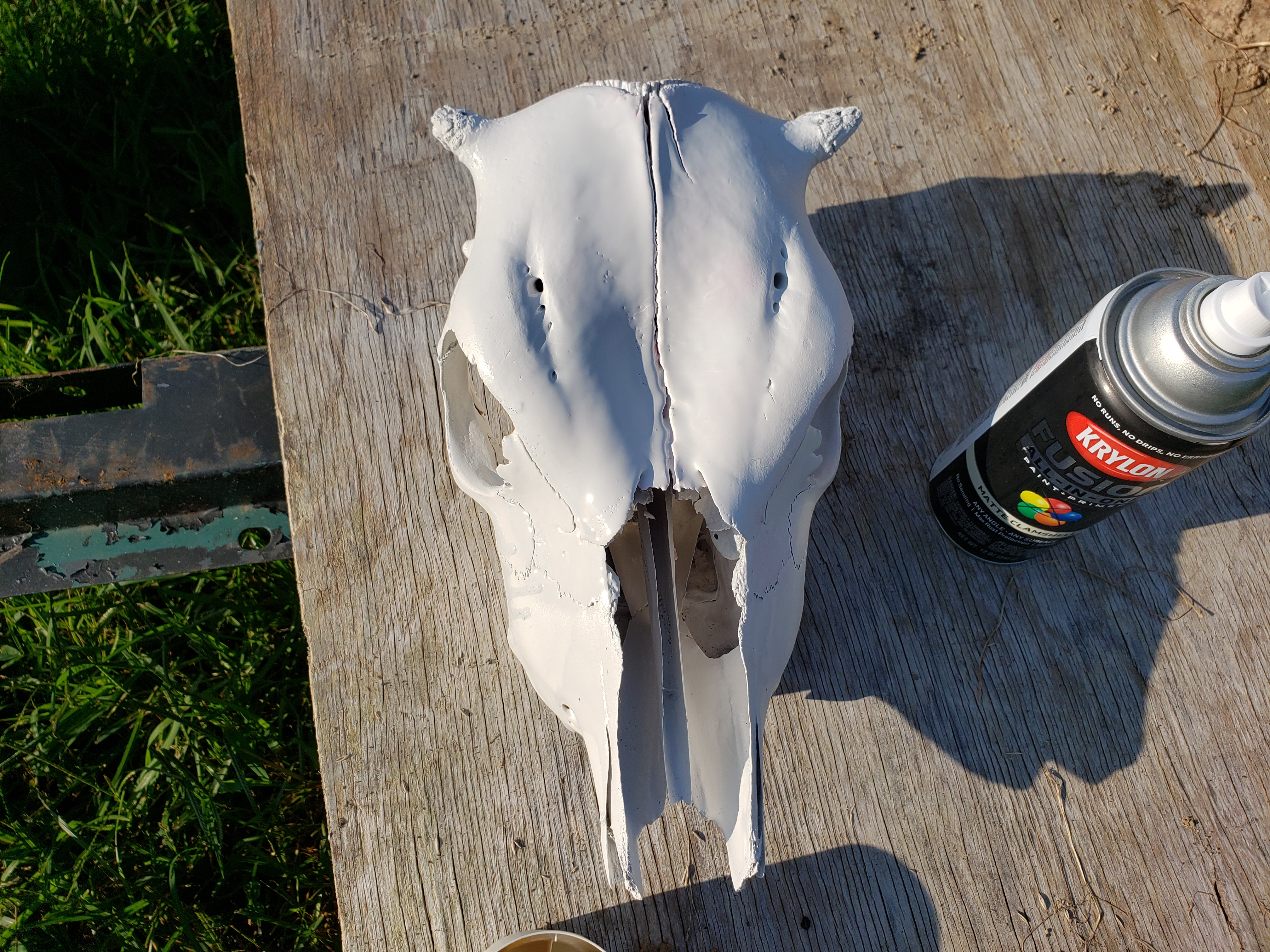 20200906_165408.jpg