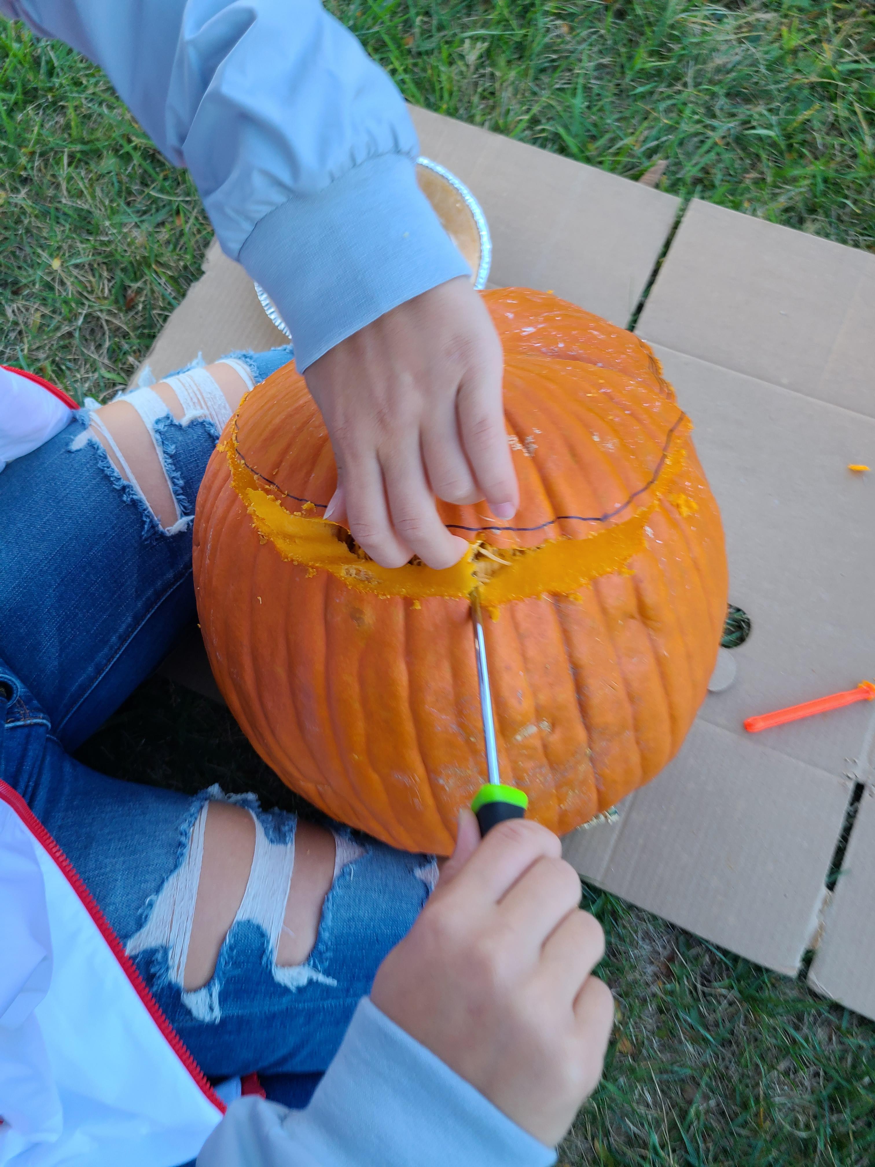 20201008_173651.jpg