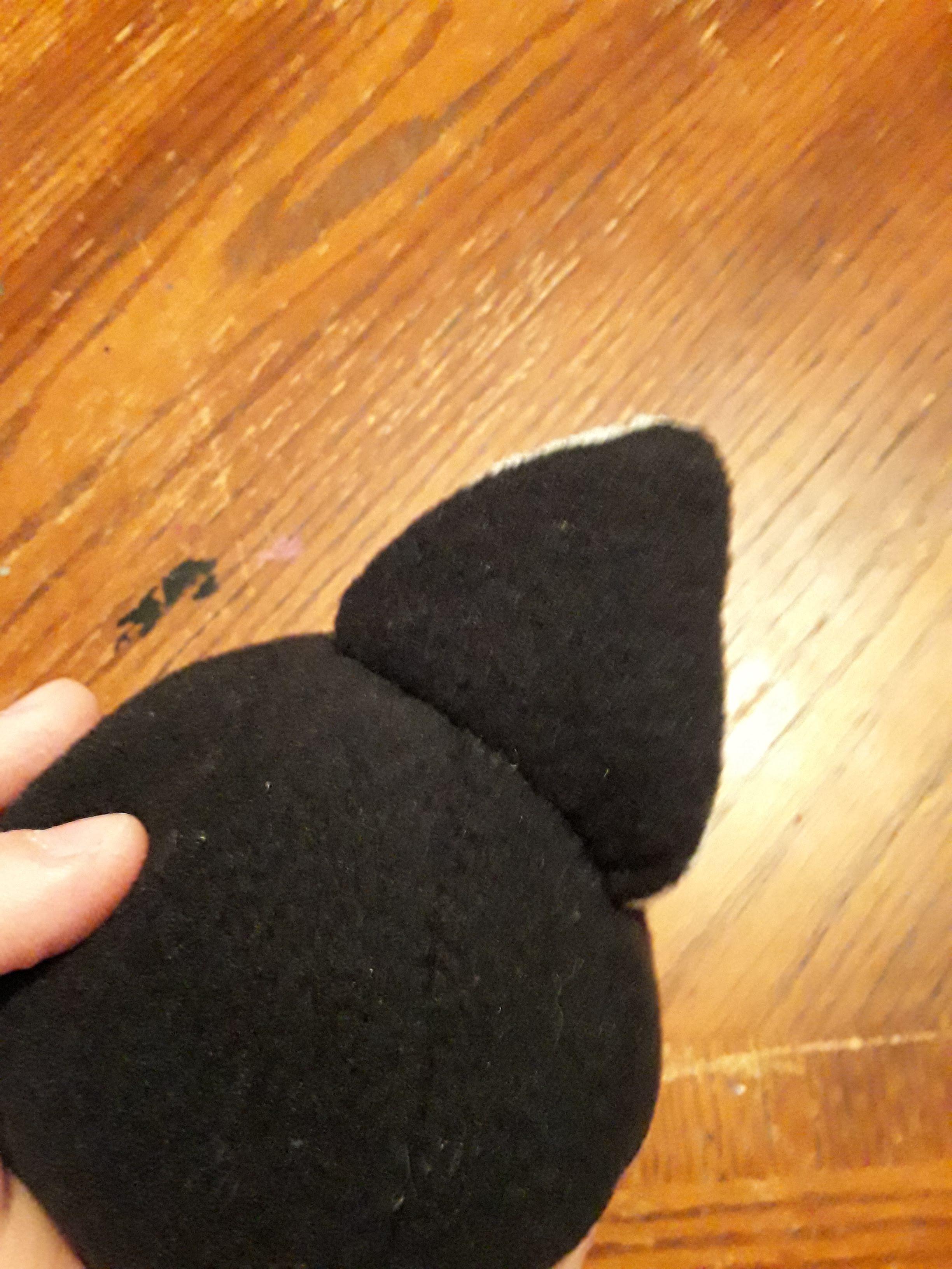 20210320_112456.jpg