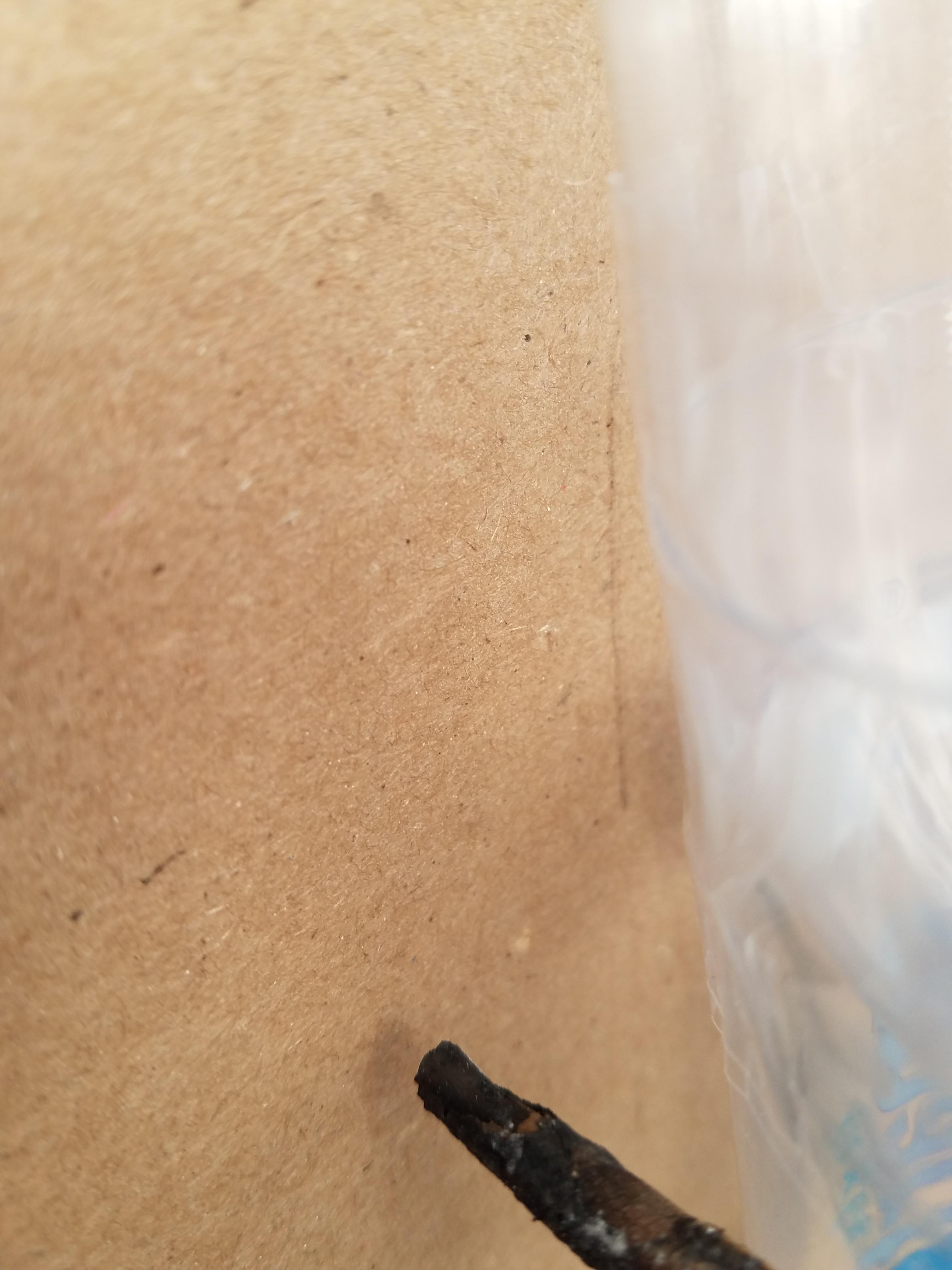 20211207_142332.jpg