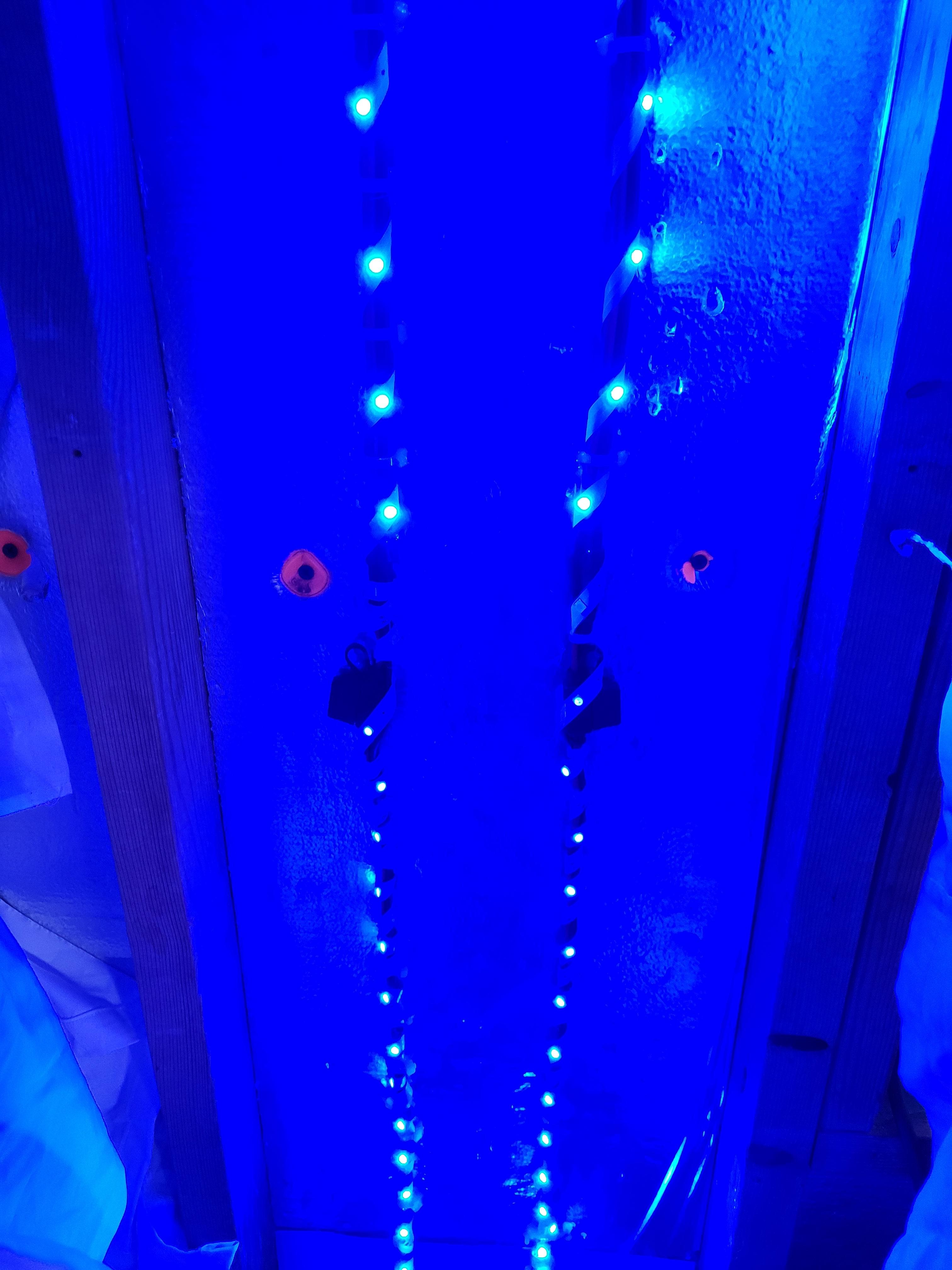 20230304_144459.jpg