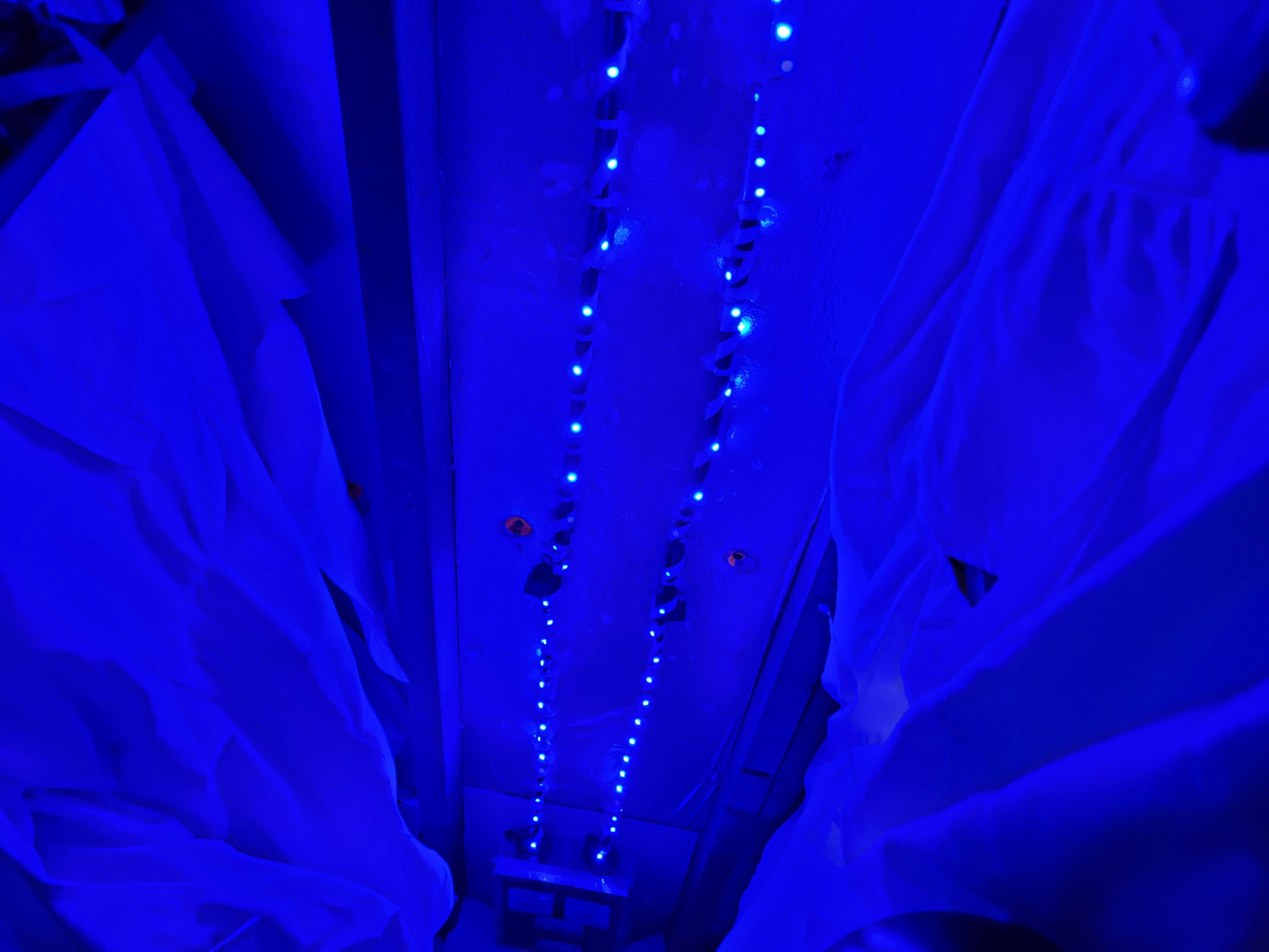 20230304_151017.jpg