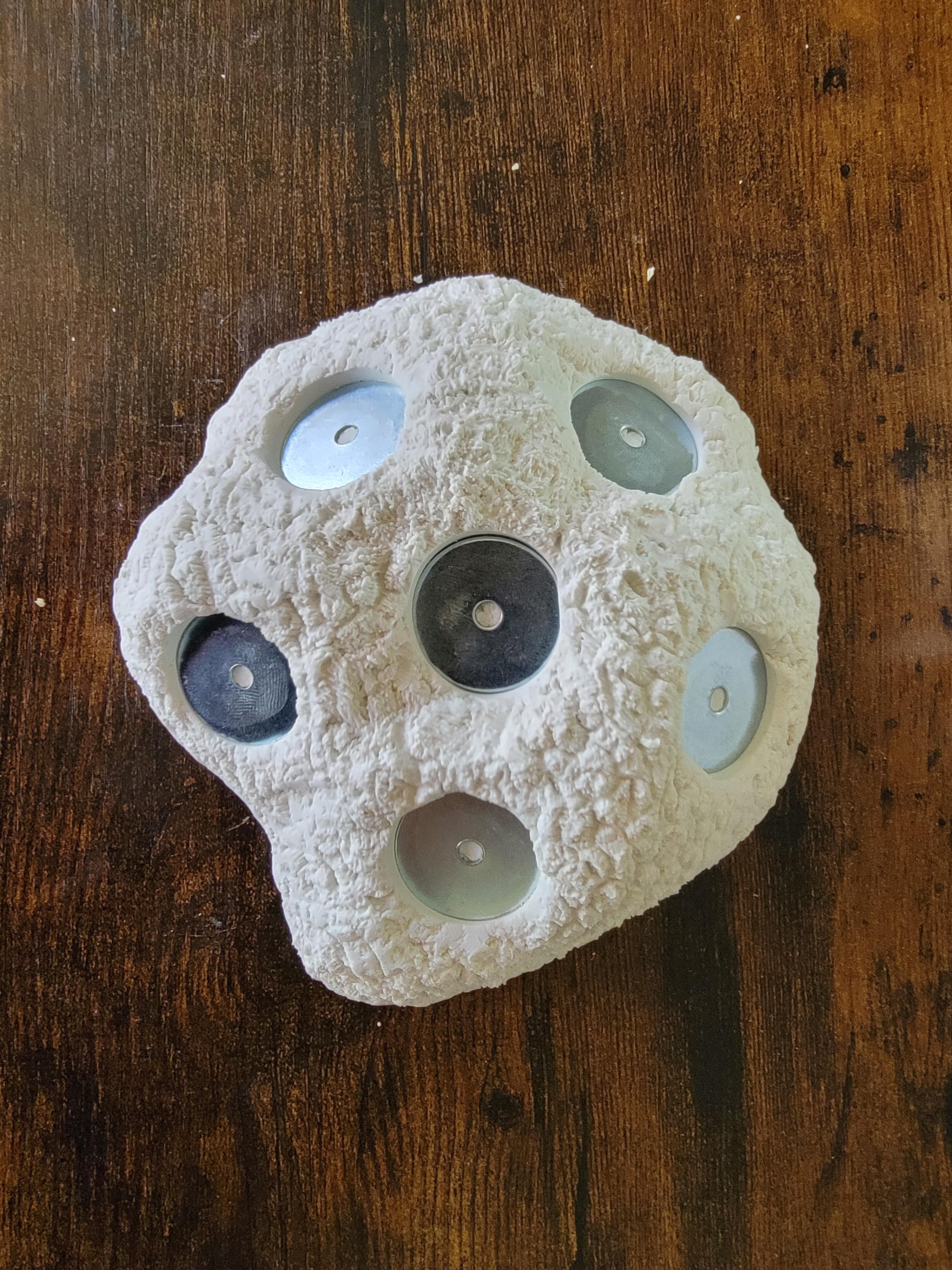 20230415_145203.jpg
