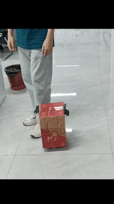 202306051653gif (1).gif