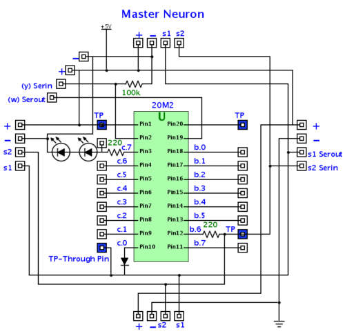 20m2neuron.jpg