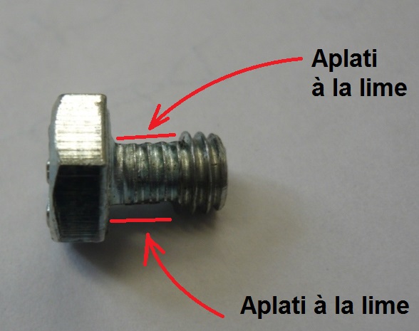 21-Serrafilo-1.JPG