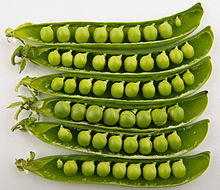 220px-Peas_in_pods_-_Studio.jpg