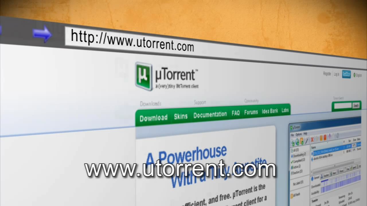 244_torrents.mp4_snapshot_00.33_[2010.06.24_00.03.07].jpg