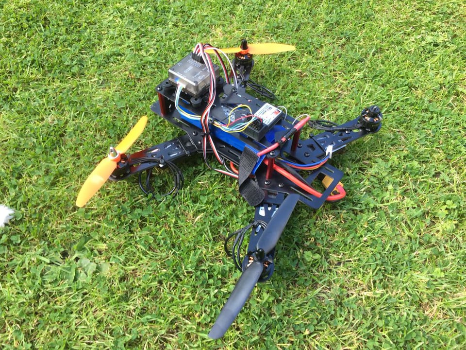 250 Mini Quad 1st Flight