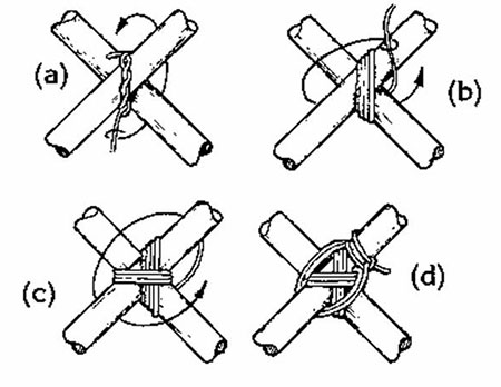 251a.jpg