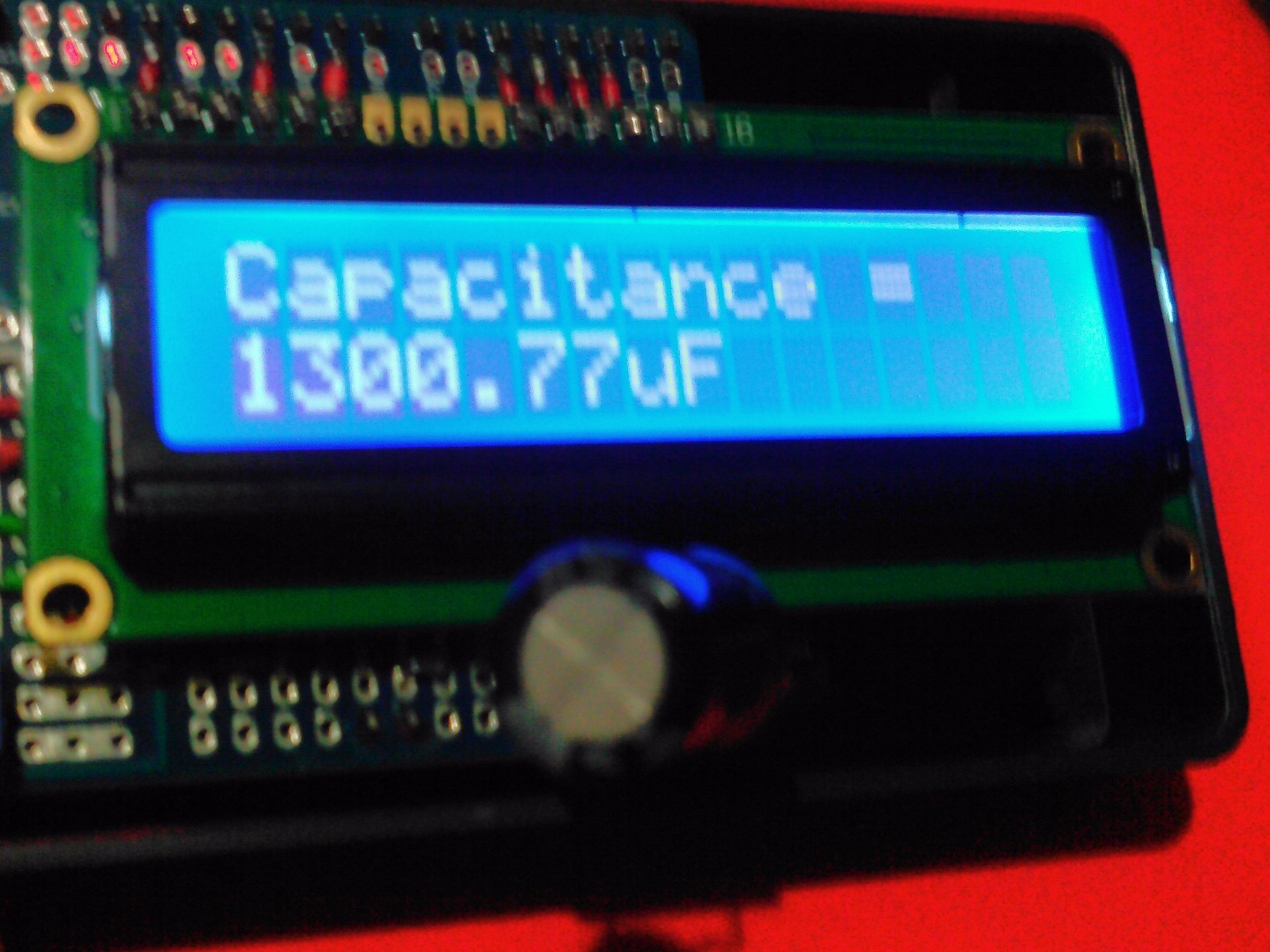 298.jpg