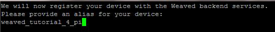 3 - Installing Weaved on the Raspberry Pi.JPG