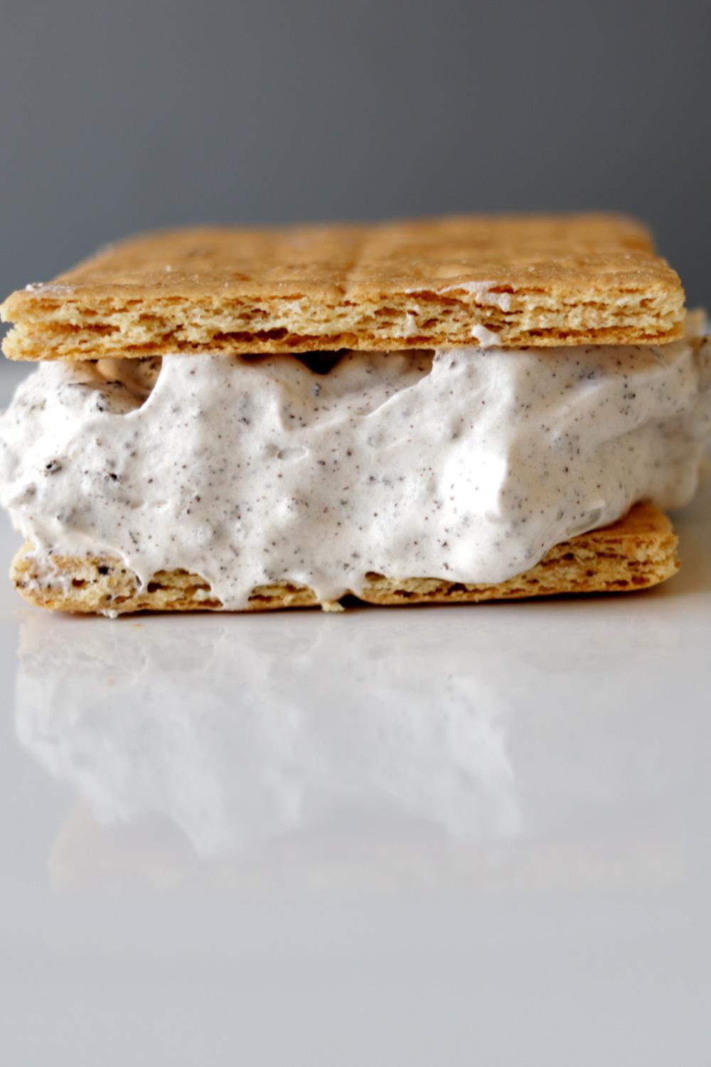 3 ingredient ice cream sandwich long hi res.jpg