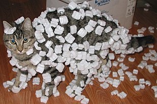 310px-Cat_demonstrating_static_cling_with_styrofoam_peanuts.jpg