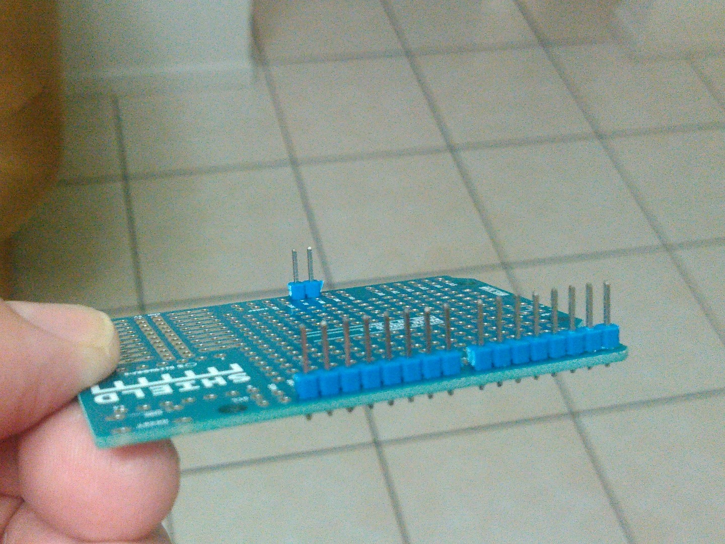 316.jpg