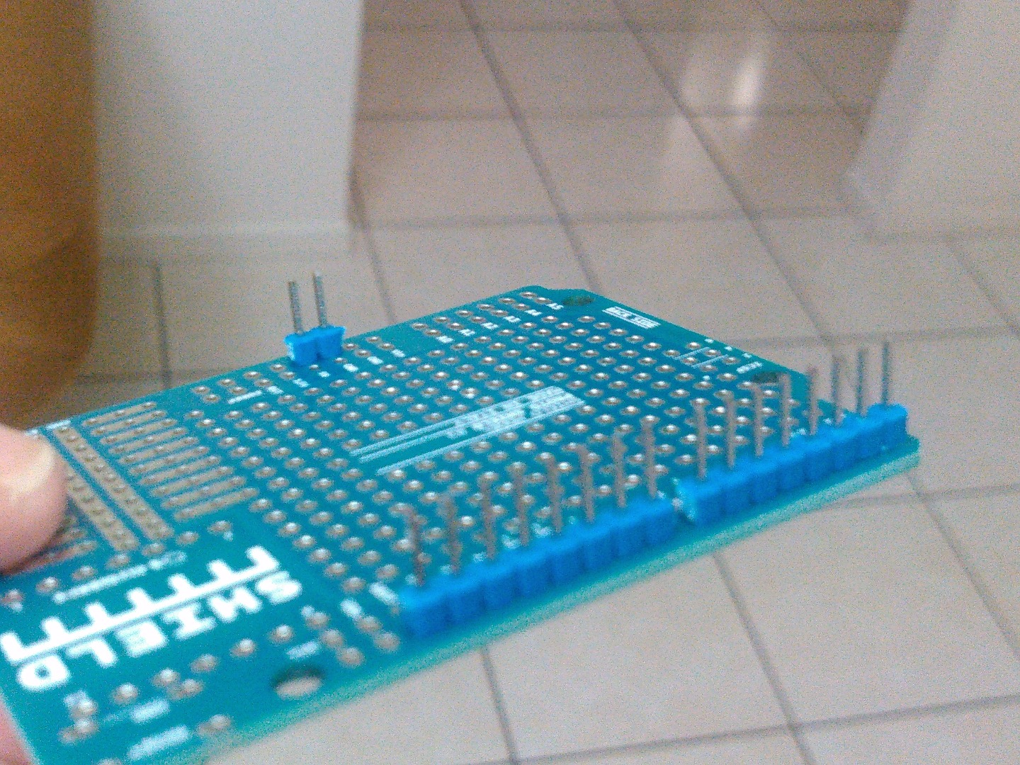 317.jpg