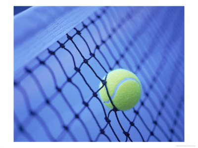 345675~Tennis-Ball-in-Net-Posters.jpg