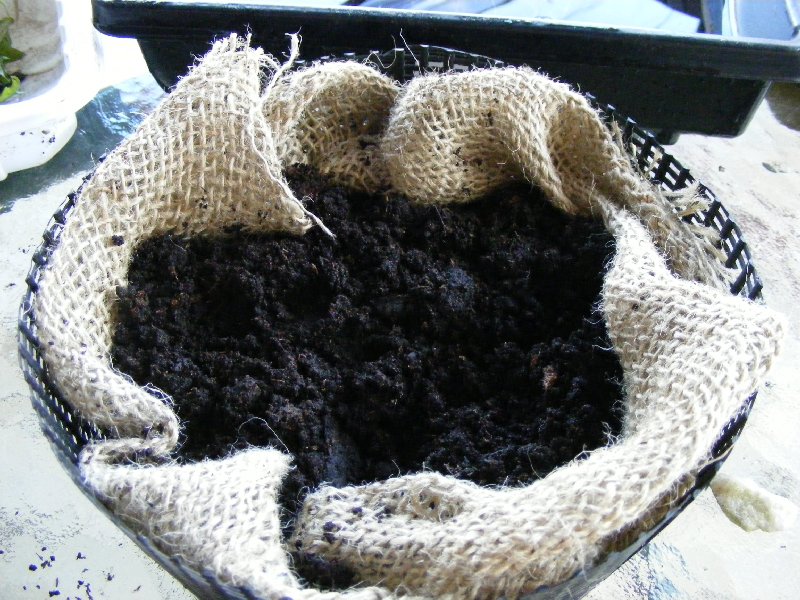 37 basket ready for plants.jpg