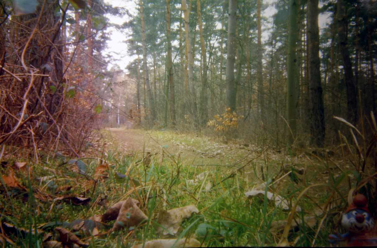 398_8_pinhole.jpg