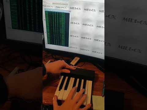 3D Printed 1-Octave Piano