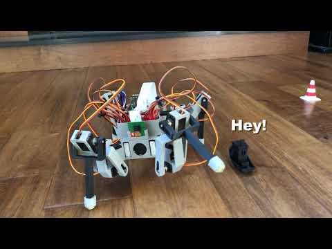 3D Printed Raspberry Pi Spider Robot Platform