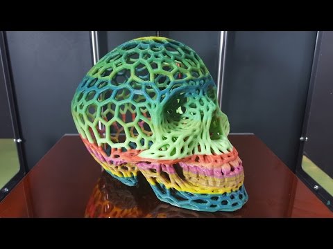 3D Printed Skull Time Lapse - 20 Hour Print in 30 Seconds