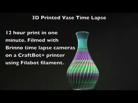 3D Printed Vase Time Lapse