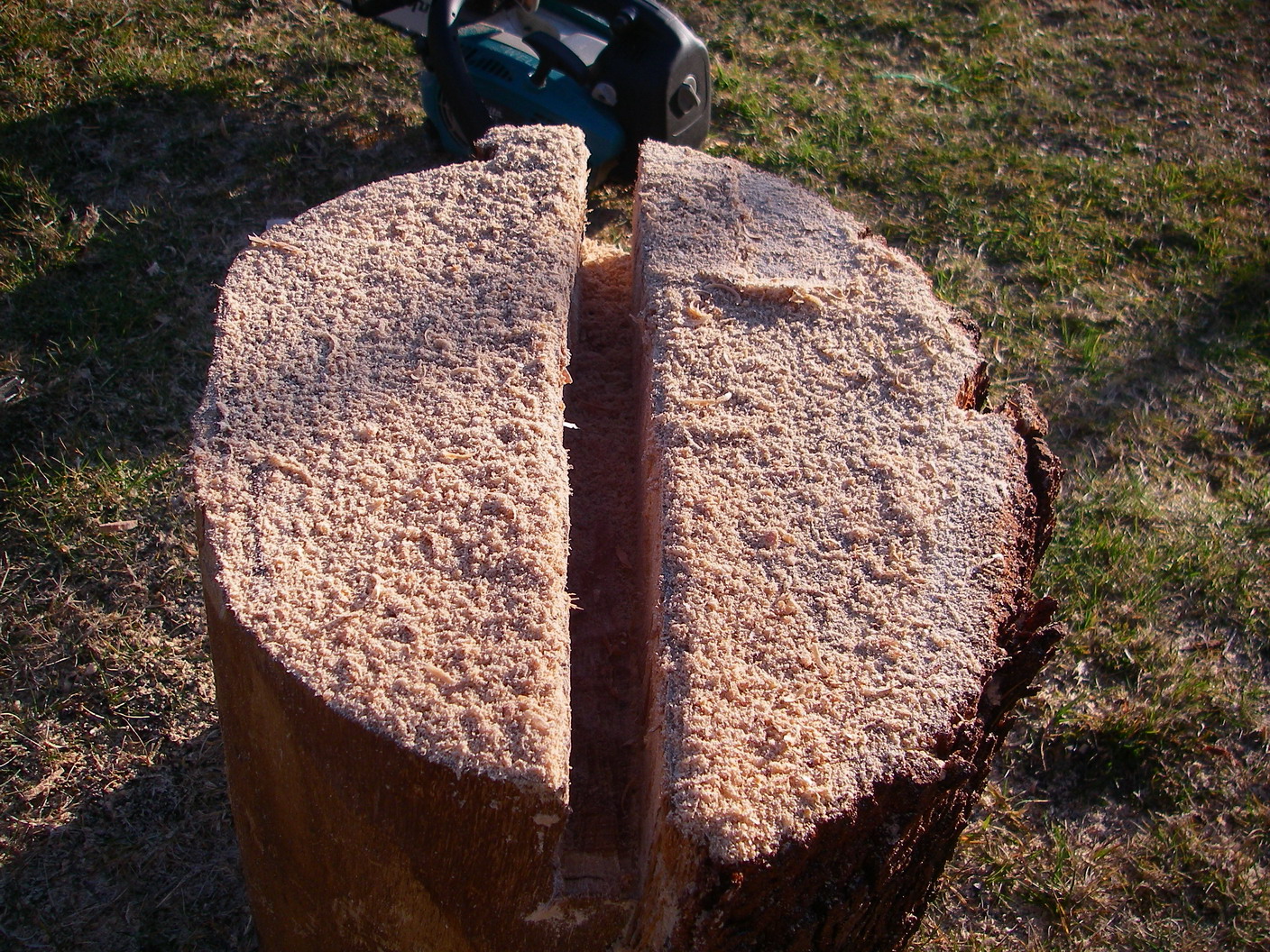 3a. hollowed groove using chainsaw).jpg