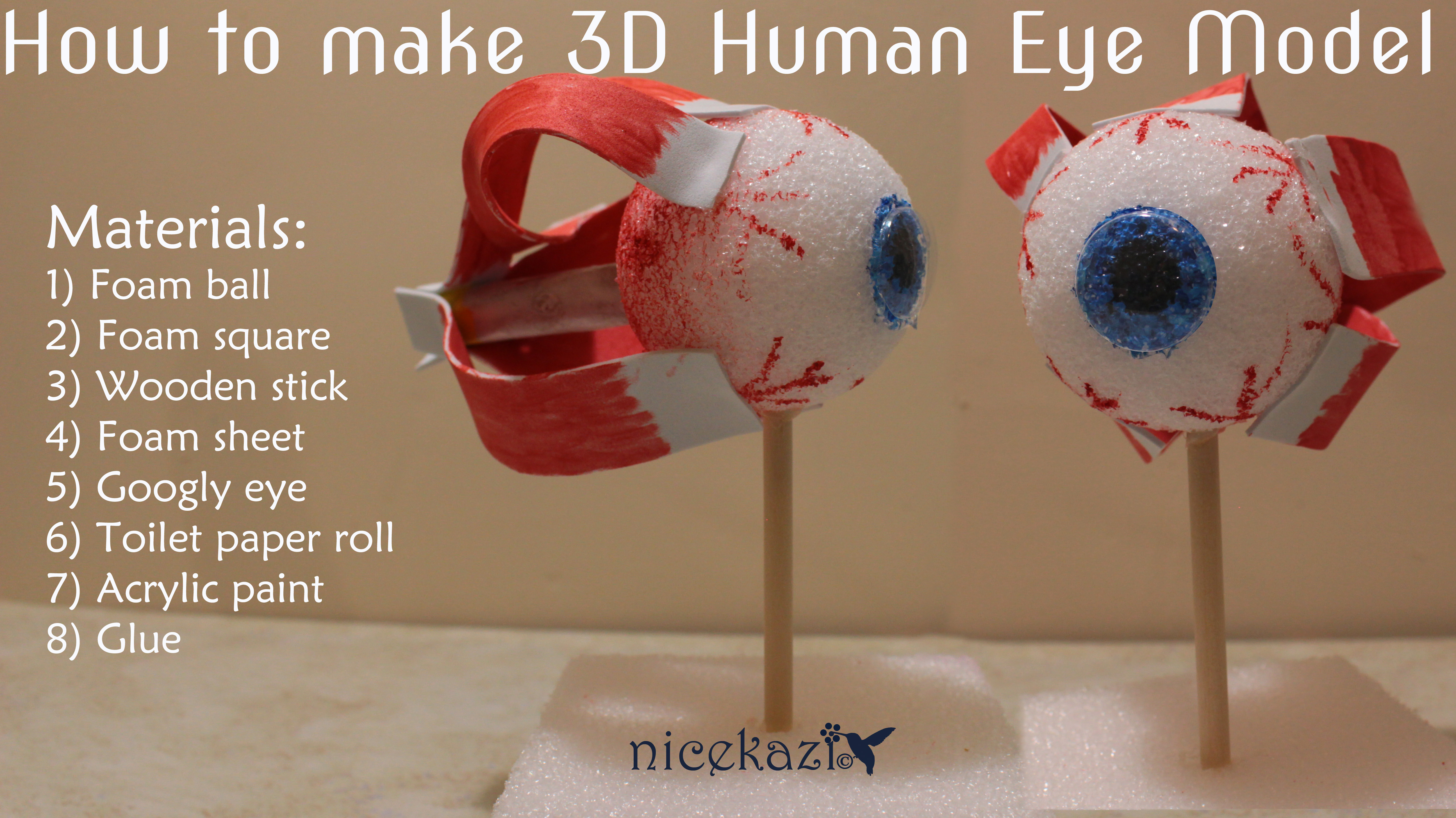 3d eye model 01.jpg