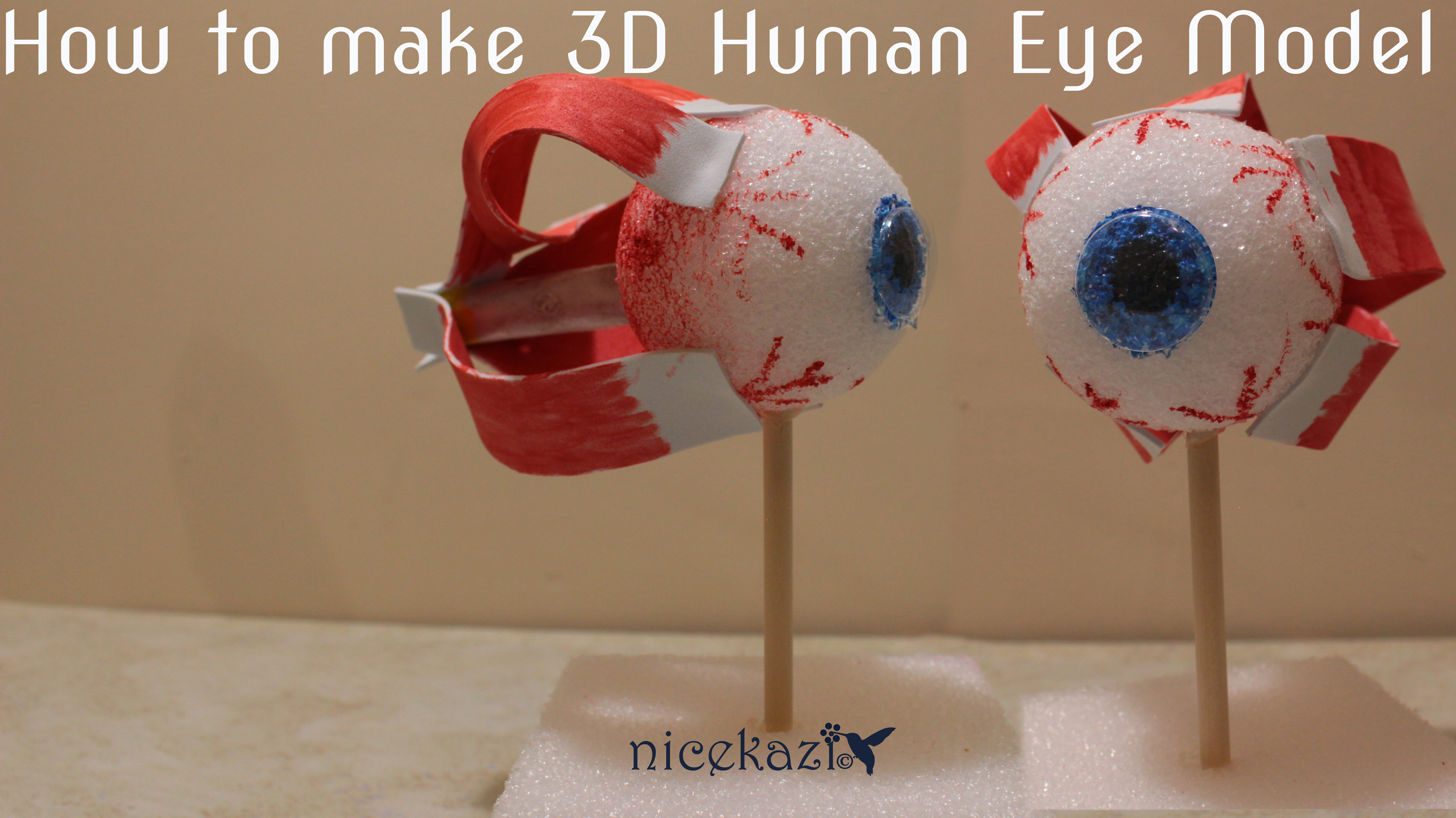 3d eye model.jpg