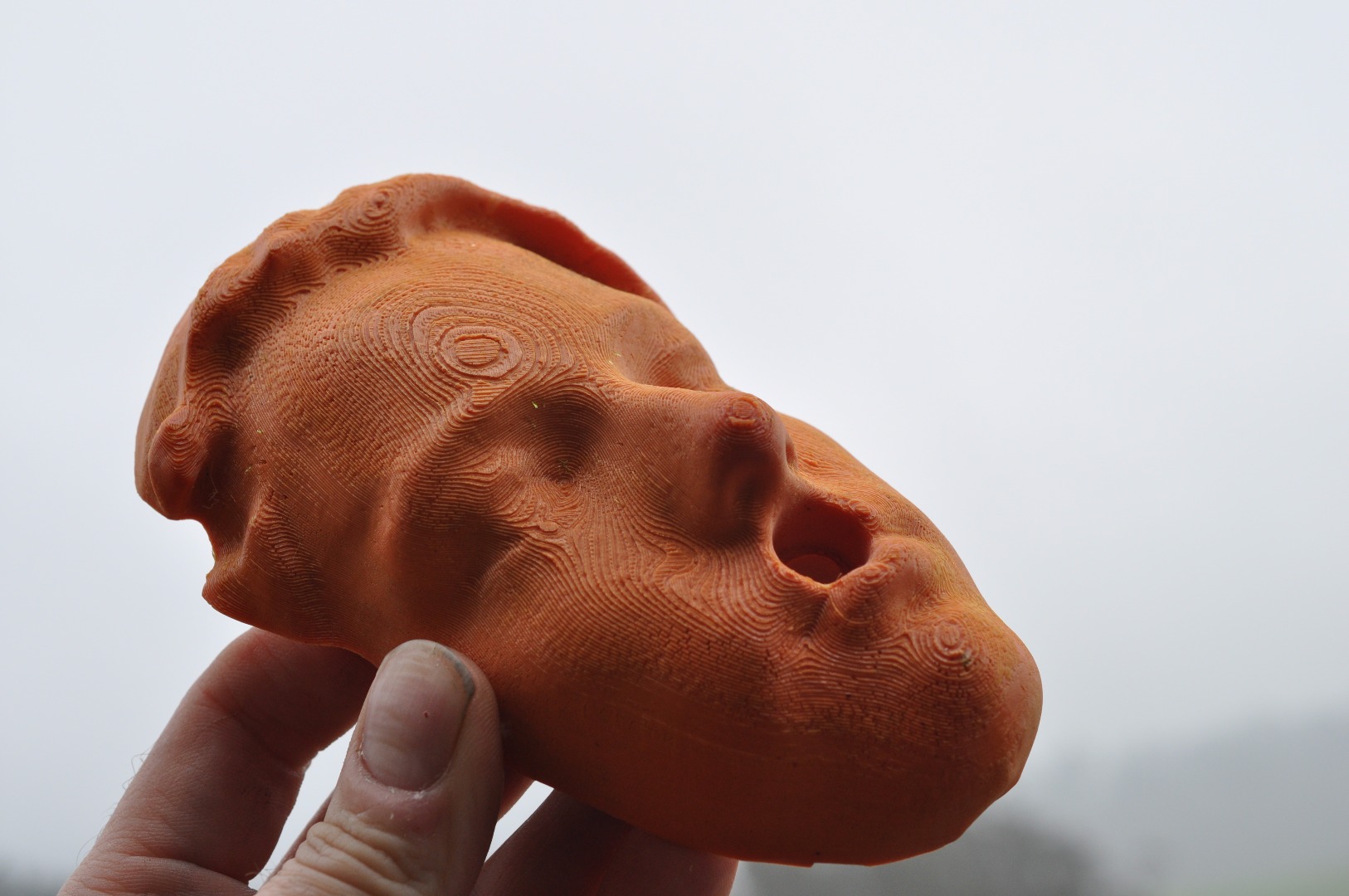 3d-printed-climbing-hold-face.JPG