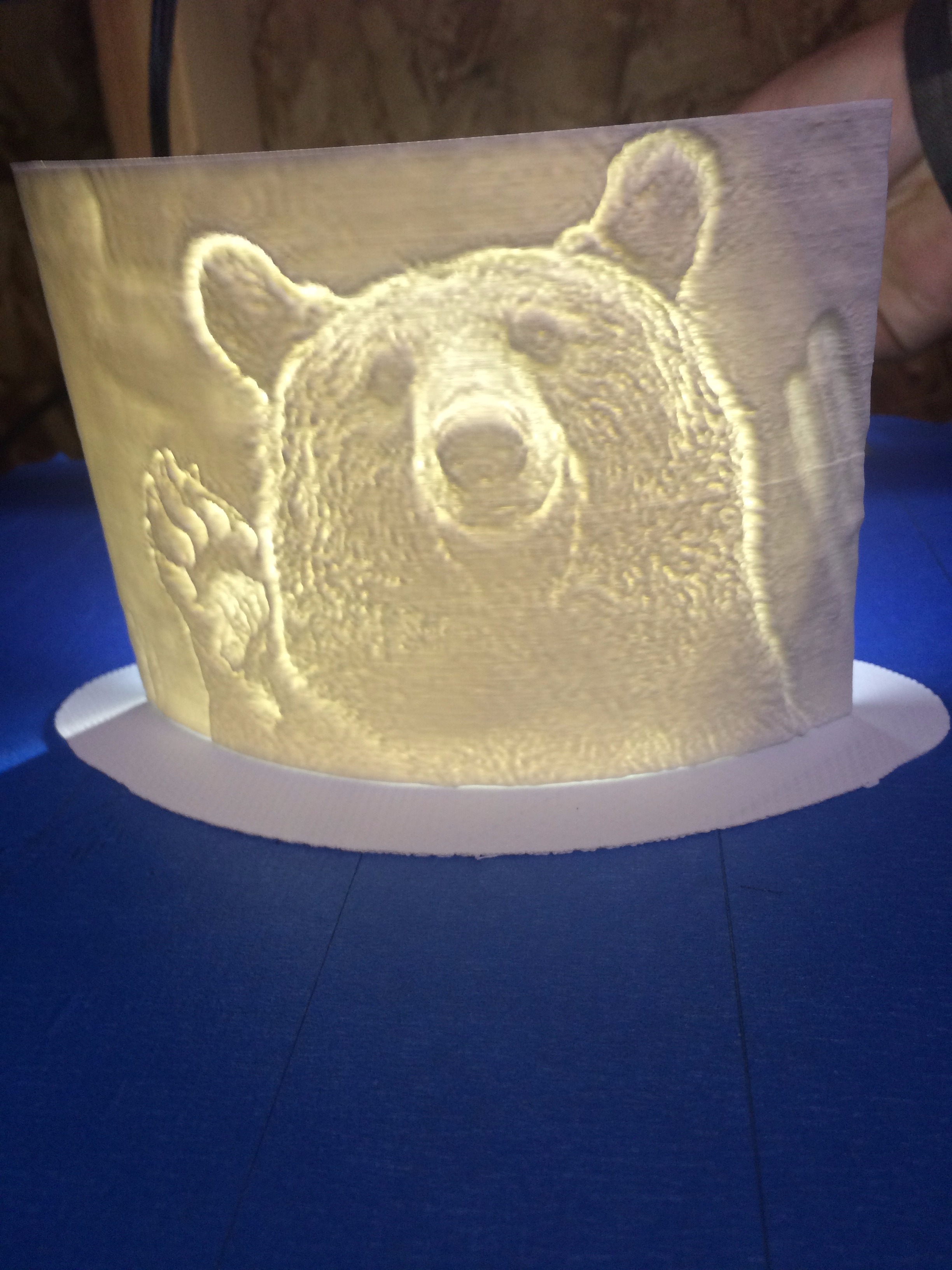 3dp bear.JPG