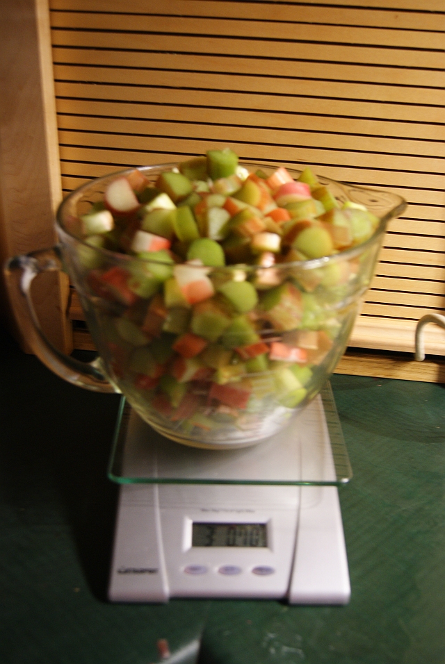 4-WeighingRhubarb.jpg