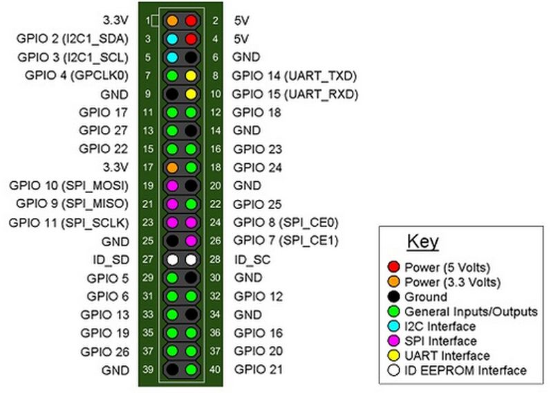 40-Pin pinout.jpg