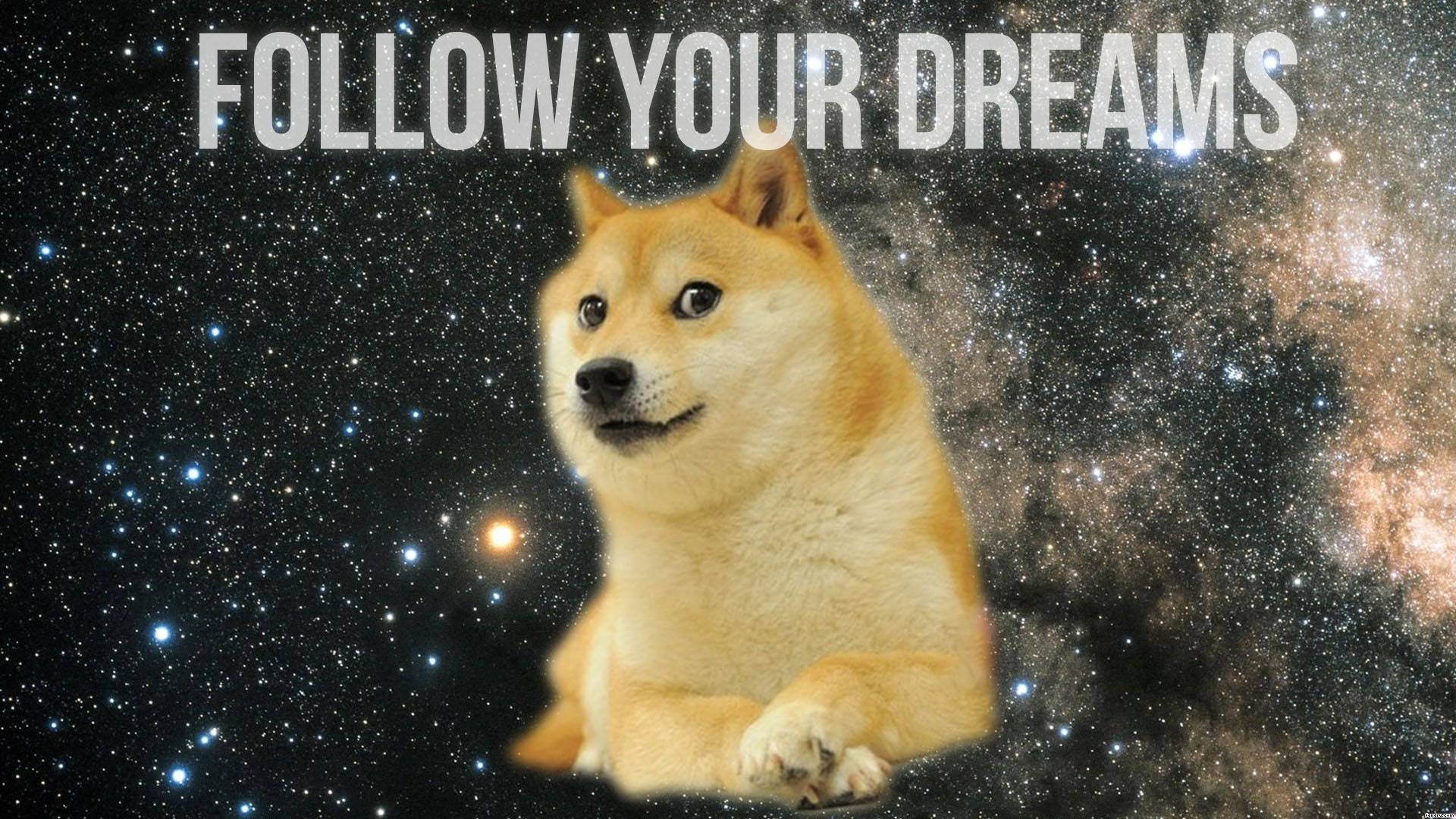 44929_funny_doge_doge_follow_your_dreams.jpg