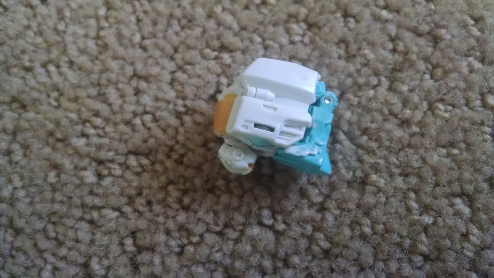 45.jpg
