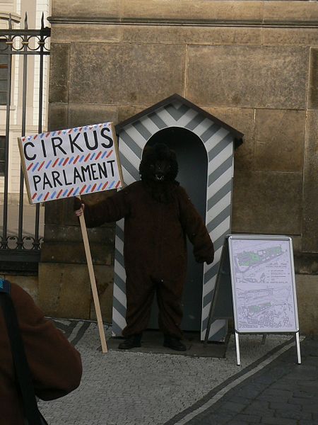 450px-Bear-protester_Prague-2008.jpg