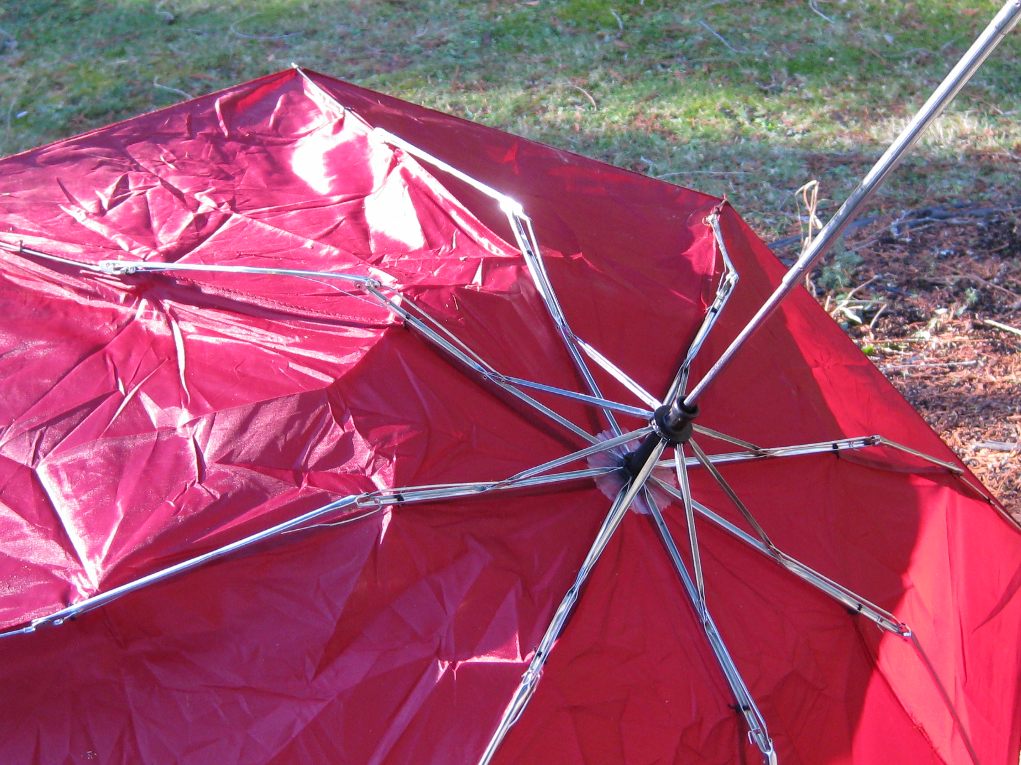 4_umbrella_turned_insideout2.JPG