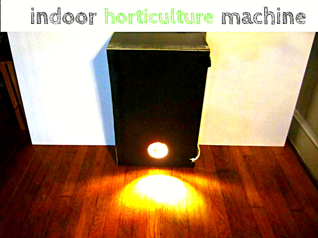 53f5184d9d29c9ce4900011b.jpeg