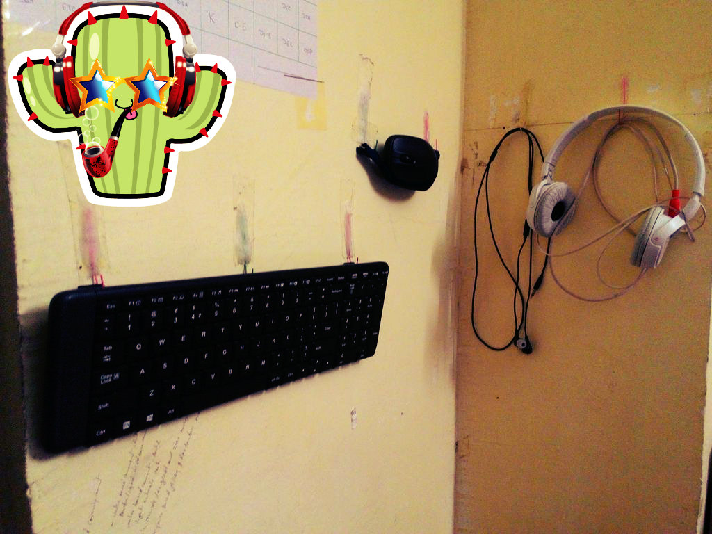 54cff2ec2f7cc6522600009d.jpeg