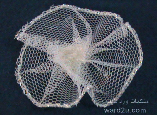 6-corsage-www.ward2u.com.jpg