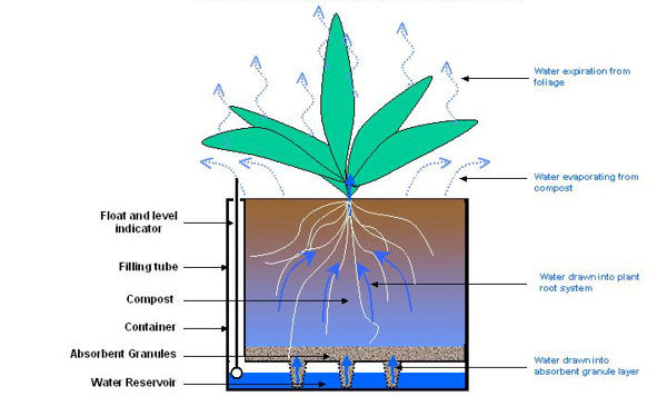 600_sws how it works2.jpg