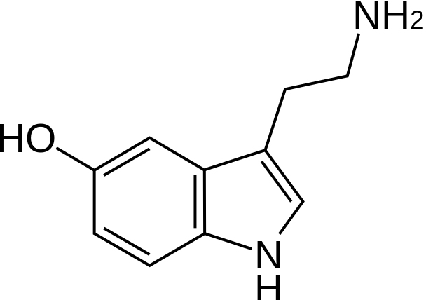 608px-Serotonin-2D-skeletal.svg copy.jpg