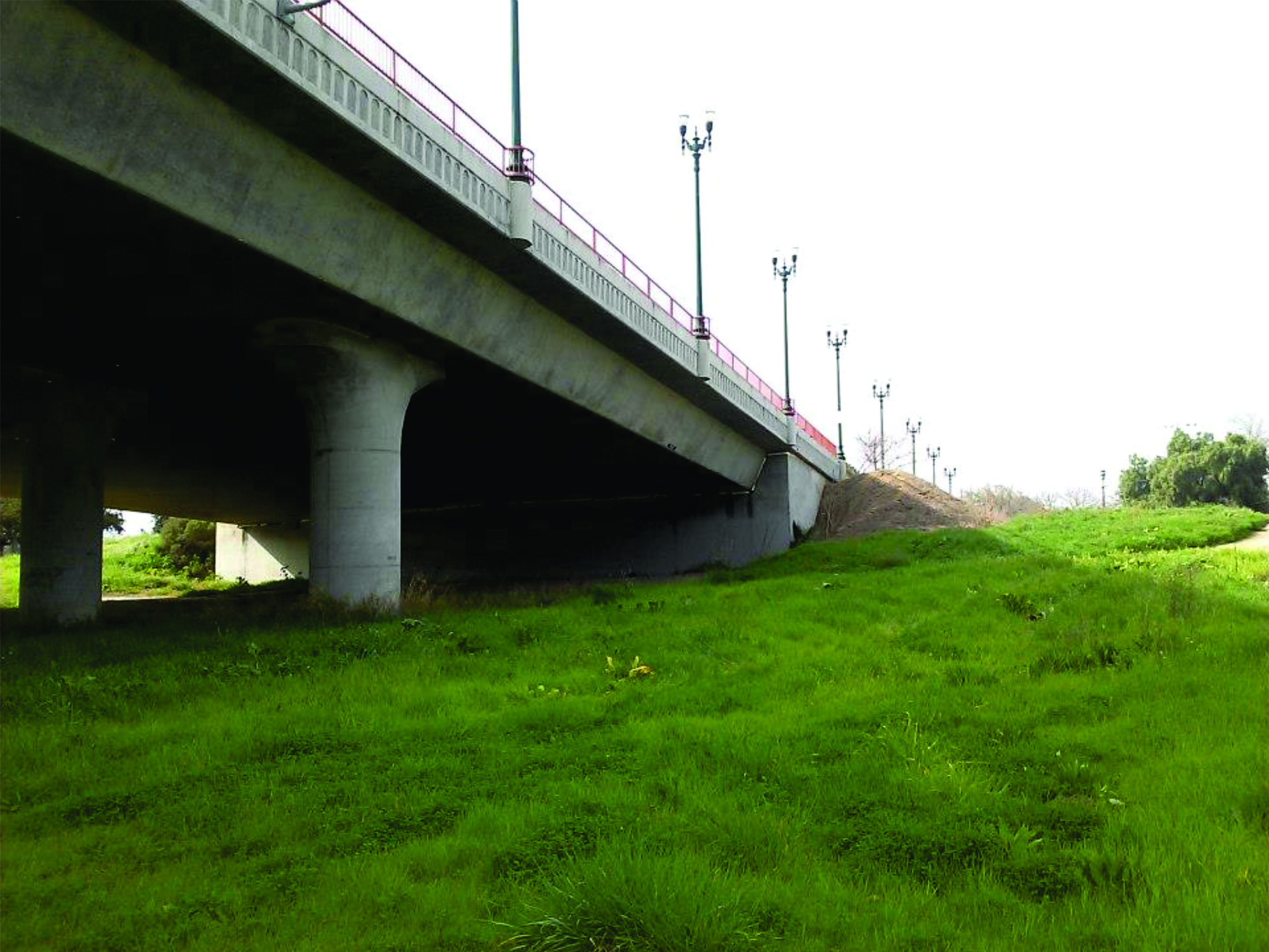 7 Bridge grass.jpg