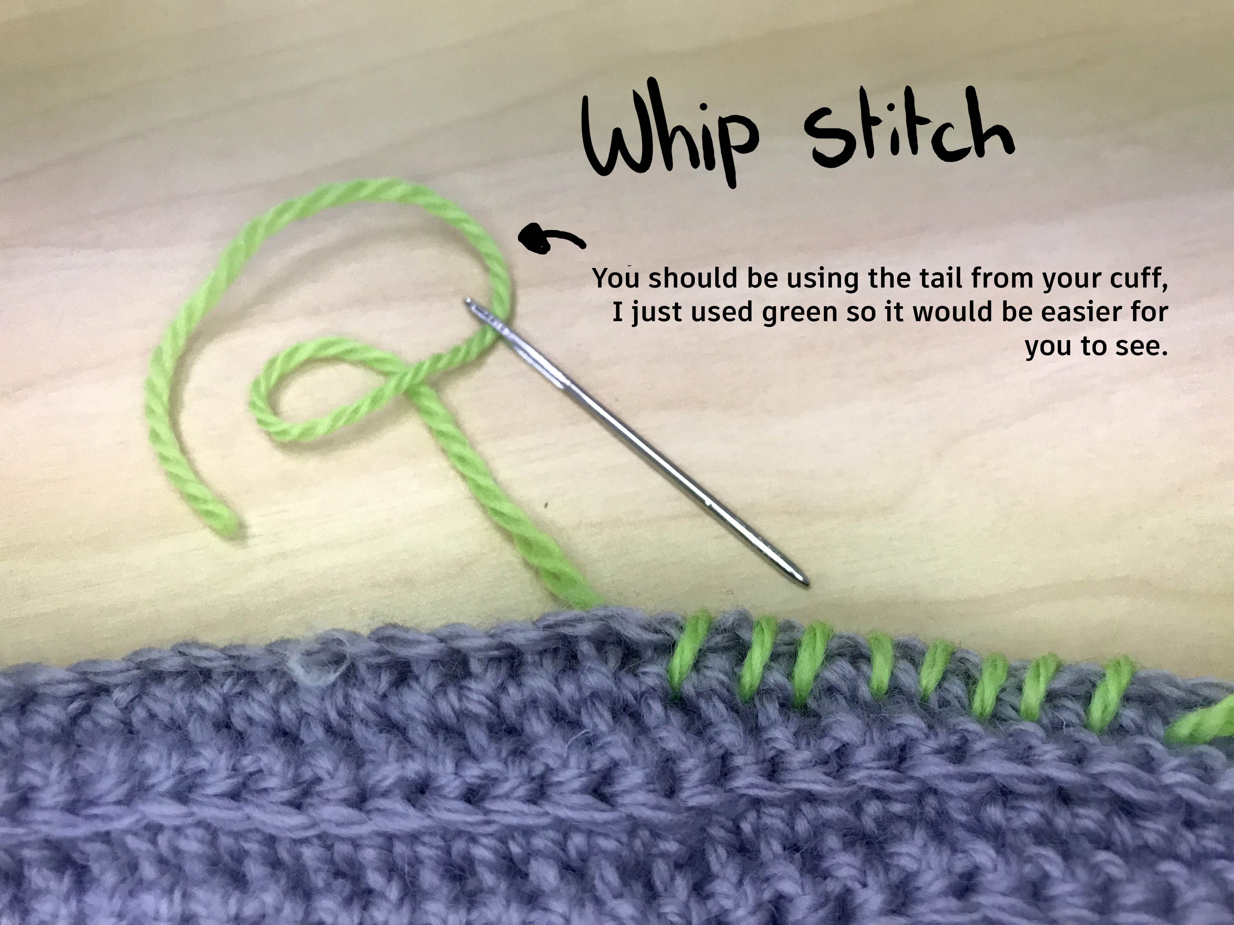 7 whip stitch.jpg